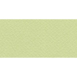 Бумага для пастели № 11 салатовый теплый Tiziano, артикул 21297111